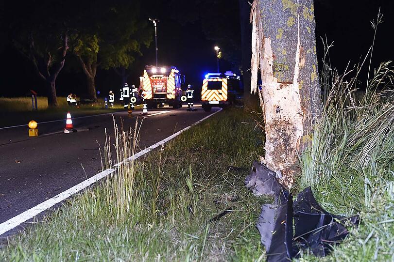 Ein alkoholisierter 22-Jähriger crashte frontal gegen einen Baum. Die Bilder des Unfalls.