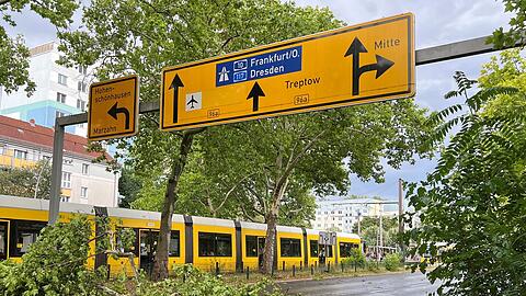 Das gesamte Stadtgebiet war den Angaben nach betroffen - hier abgebrochene Äste im Prenzlauer Berg.