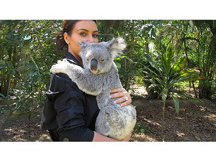 Kim Kardashian kuschelt mit einem Koala
