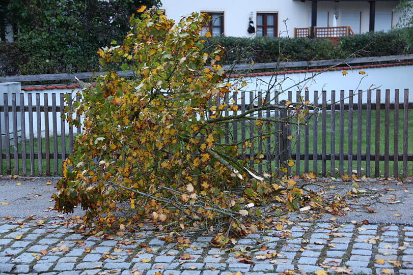Bilder vom Unfall in Obertaufkirchen.