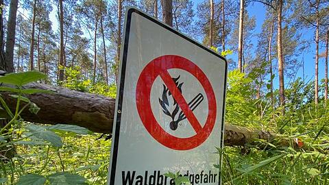 Mit der ersten Hitzewelle des Jahres in Deutschland steigt die Gefahr von Waldbränden weiter an.