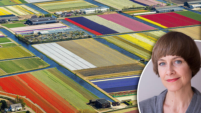 So blüht&rsquo;s im niederländischen Lisse, wo vor allem Tulpen für Farbe sorgen. Man fühlt sich irgendwie an die Kunst der De Stijl-Leute Piet Mondriaan oder Gerrit Rietveld erinnert. Die waren so modern wie bei uns die Bauhäusler. Was ist davon nur geblieben?