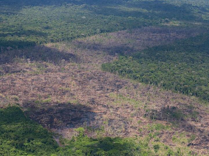Luftblick auf abgeholzte Fläche des Amazonas. Die Zerstörung im brasilianischen Amazonas-Gebiet nimmt im Schatten der Covid-19-Pandemie dramatisch zu.