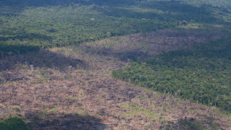 Luftblick auf abgeholzte Fläche des Amazonas. Die Zerstörung im brasilianischen Amazonas-Gebiet nimmt im Schatten der Covid-19-Pandemie dramatisch zu. Luftblick auf abgeholzte Fläche des Amazonas. Die Zerstörung im brasilianischen Amazonas-Gebiet nimmt im Schatten der Covid-19-Pandemie dramatisch zu.