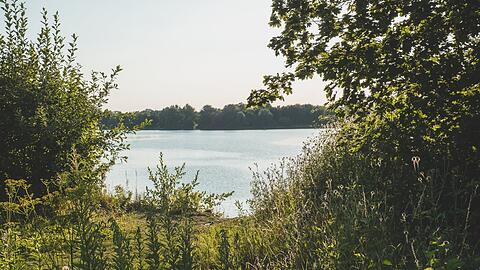 Vielleicht ist der Hollerner See sogar für den einen oder anderen Münchner neu, der sich, was Seen anbelangt, ja gerne mehr nach Süden orientiert. Dabei bietet der Baggersee bei Eching sowohl etwas Komfort für die, die nicht auf Kiosk und Klohäusl verzichten wollen, als auch Ruhe am West- und Südufer, so Eckl. Obacht mit Kindern: Dort geht es steiler ins Wasser. Ausgangspunkt: Parkplatz Ostufer (Staatsstraße 2053)