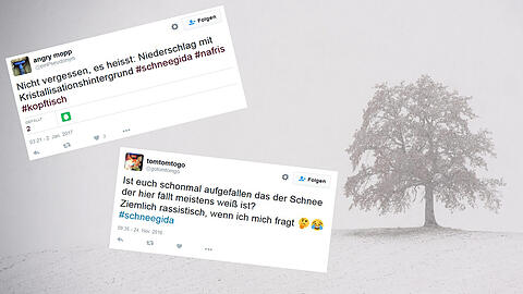 Der Hashtag "Schneegida" ist ein aktueller Twitter-Trend.