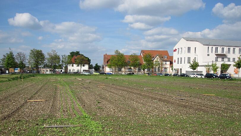 So wie in Trudering, soll es auch bald in Neuaunbing sprießen. (Archivbild) So wie in Trudering, soll es auch bald in Neuaunbing sprießen. (Archivbild)