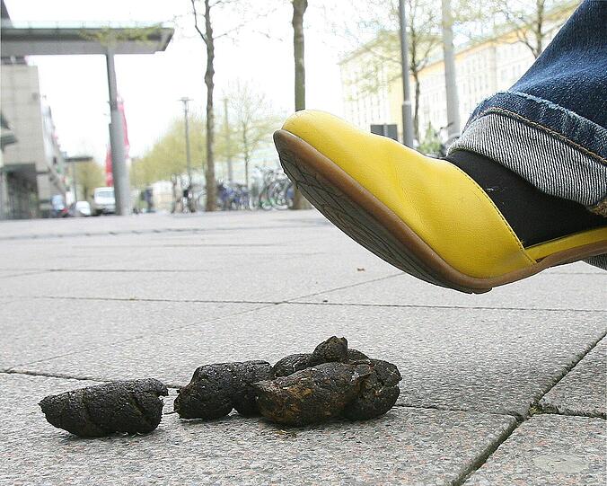 Gleich wird's eklig! In München räumen aber immer mehr Halter den Dreck ihres Hundes weg.