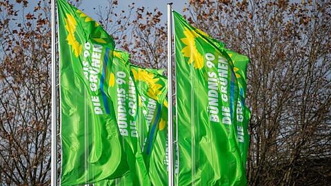 Fahnen mit dem Parteilogo wehen im Wind.