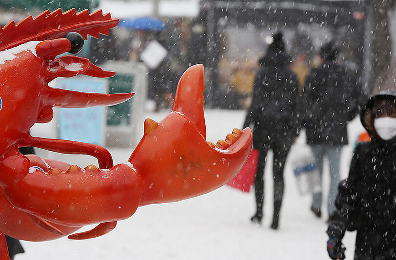 So sieht der Winter in München aus: Auch der Hummer am Viktualienmarkt kriegt's ab.