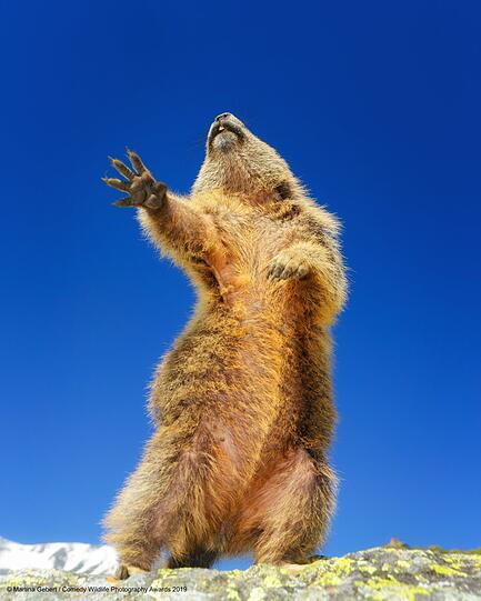 "Dancing...yeah!"