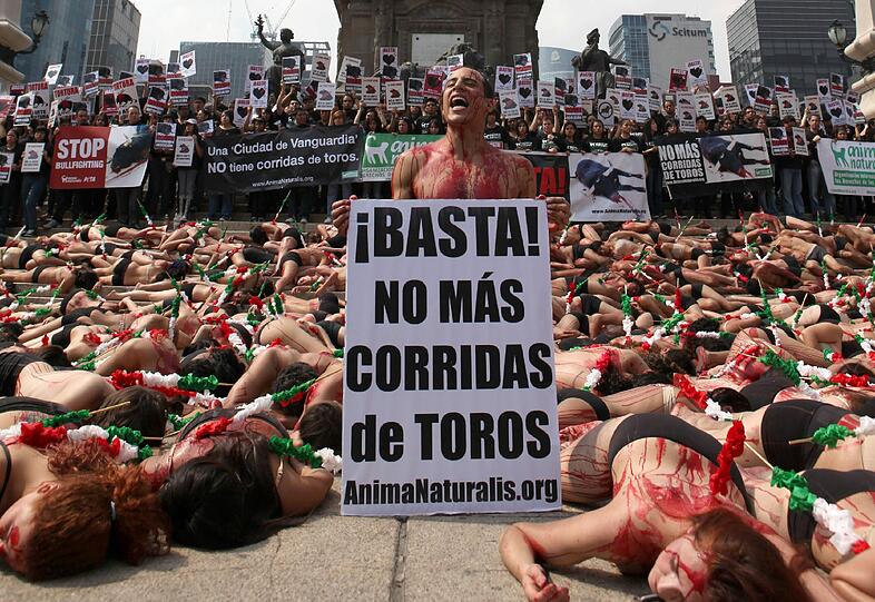 In Mexico City haben zahlreiche Tierschützer mit einer spektakulären Aktion gegen Stierkämpfe protestiert - die Bilder.