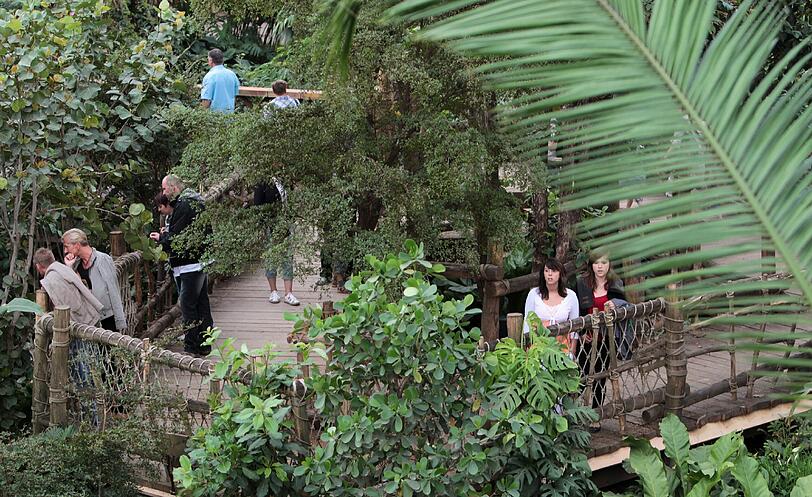 Besucher betrachten das Innere der Tropenhalle Gondwanaland im Zoo Leipzig. Die neue Tropenhalle ist seit dem 1. Juli für das Publikum geöffnet.