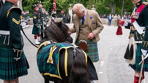 Charles mit dem berüchtigten Pony Corporal Cruachan IV.