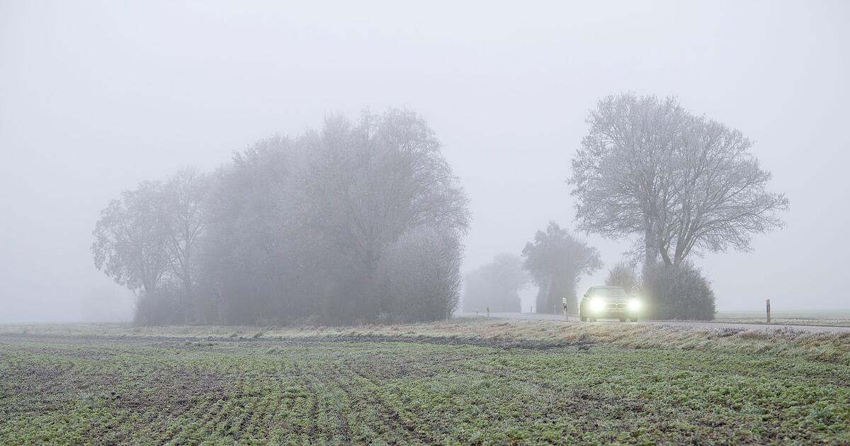 Nebel-und-zuweilen-Sonne