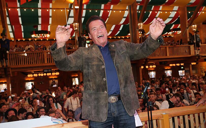 Arnold Schwarzenegger - hier 2016 bei seinem Auftritt im Schützenzelt - ist auf der Wiesn Stammgast. Arnold Schwarzenegger - hier 2016 bei seinem Auftritt im Schützenzelt - ist auf der Wiesn Stammgast.