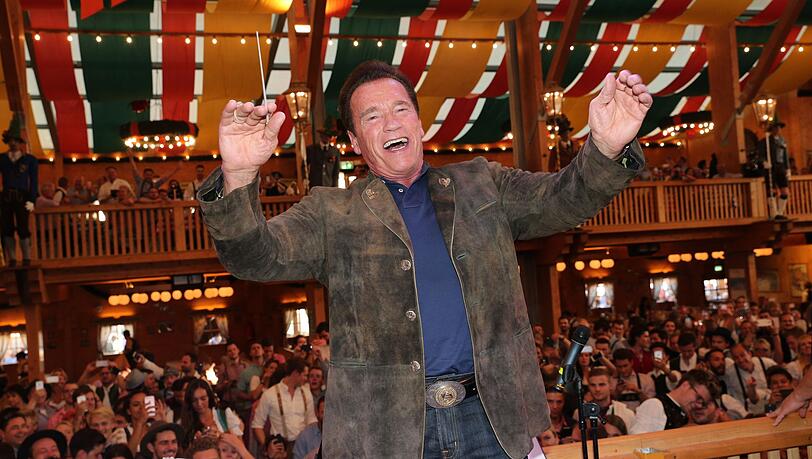Arnold Schwarzenegger - hier 2016 bei seinem Auftritt im Schützenzelt - ist auf der Wiesn Stammgast. Arnold Schwarzenegger - hier 2016 bei seinem Auftritt im Schützenzelt - ist auf der Wiesn Stammgast.