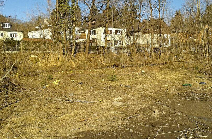 Hier war mal ein Baum- und Busch-Dickicht.