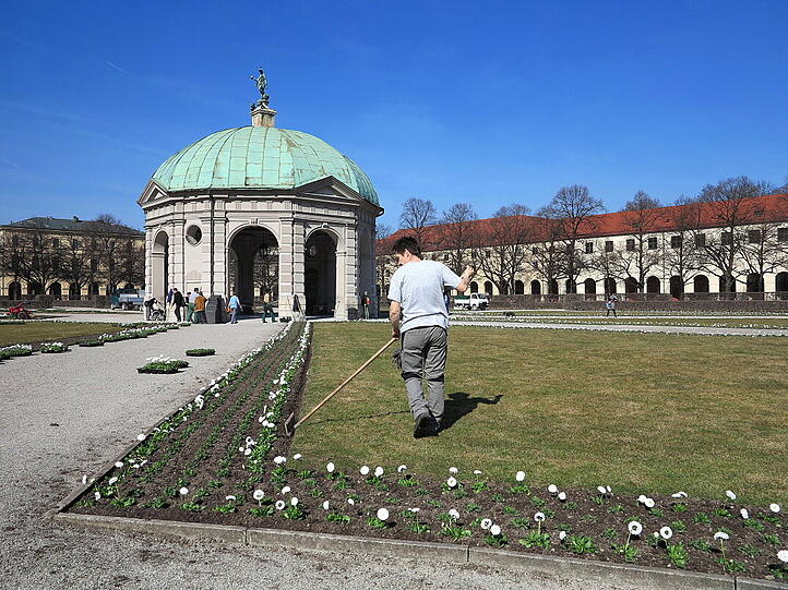 Die Stadtgärtner setzen die ersten Frühlingsblumen ein.
