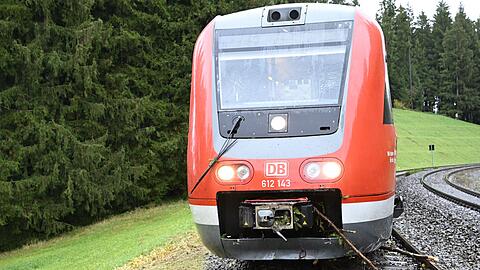 Der entgleiste Zug stand auf der Strecke.