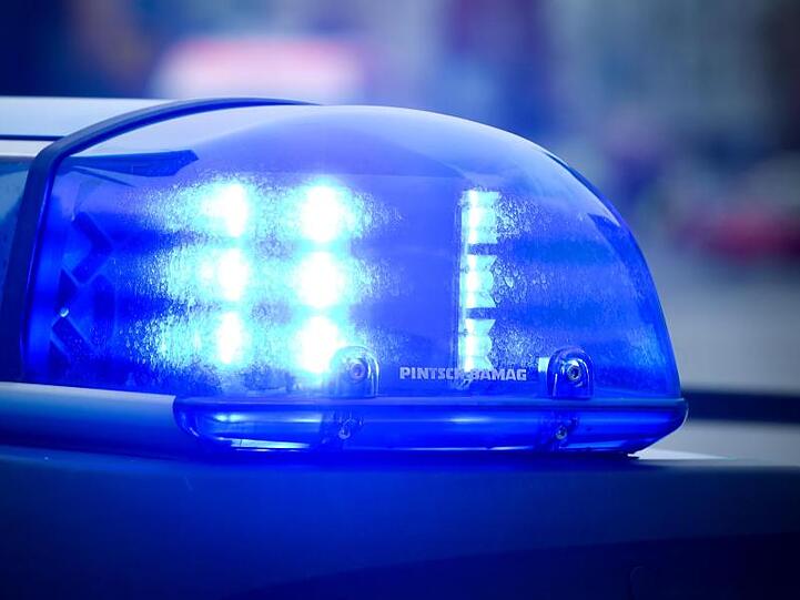 Das Blaulicht an einem Polizeiauto leuchtet. Foto: Patrick Pleul/Archivbild