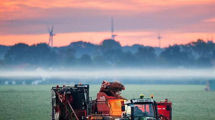 Ein Landwirt erntet Bio-Möhren auf einem Feld im Landkreis Hildesheim. Ein Landwirt erntet Bio-Möhren auf einem Feld im Landkreis Hildesheim.