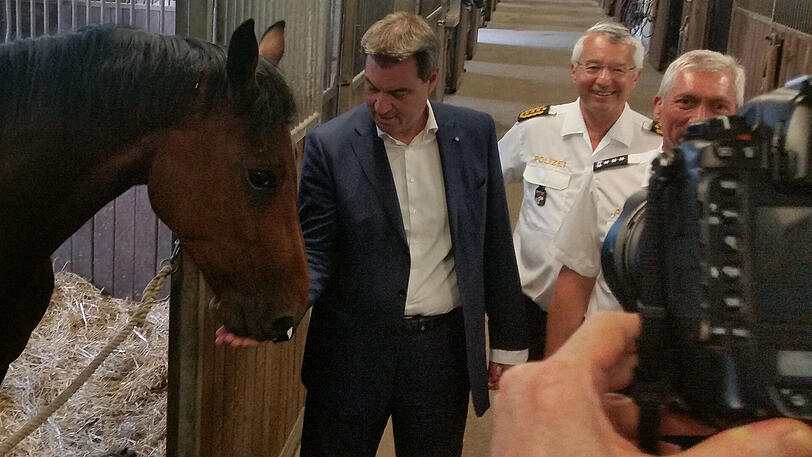 Ein paar Leckerlis genügen Söder, um das Herz dieses Polizeipferds im Sturm zu erobern.