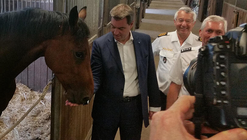 Ein paar Leckerlis genügen Söder, um das Herz dieses Polizeipferds im Sturm zu erobern. Ein paar Leckerlis genügen Söder, um das Herz dieses Polizeipferds im Sturm zu erobern.