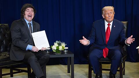 Argentiniens Staatschef Milei und US-Pr&auml;sident Trump sind Unterst&uuml;tzer der Bolsonaros. (Archivbild)