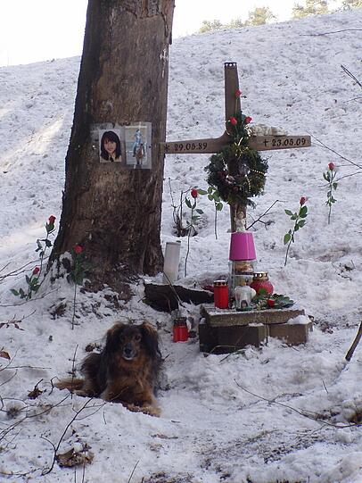 An diesem Baum an der B85 bei Amberg, fuhr der 22-jährige Patrick F. seine Freundin Isabella tot.