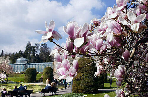 Botanischer Garten in Stuttgart, Foto: PR