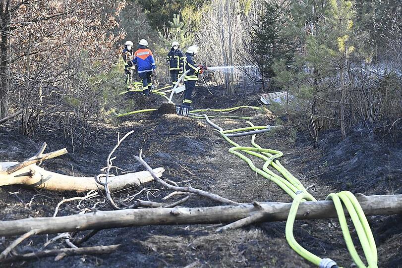 In der Fröttmaninger Heide brannten rund vier Hektar Wald...