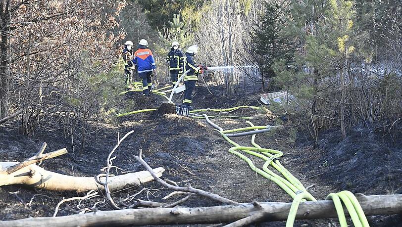 In der Fröttmaninger Heide brannten rund vier Hektar Wald... In der Fröttmaninger Heide brannten rund vier Hektar Wald...