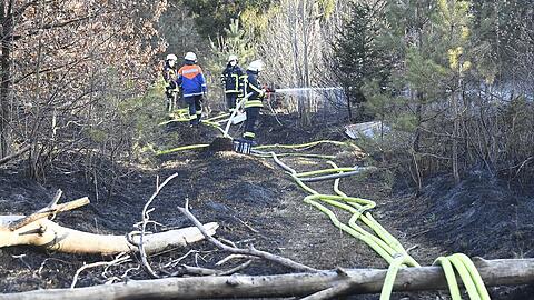 In der Fröttmaninger Heide brannten rund vier Hektar Wald...