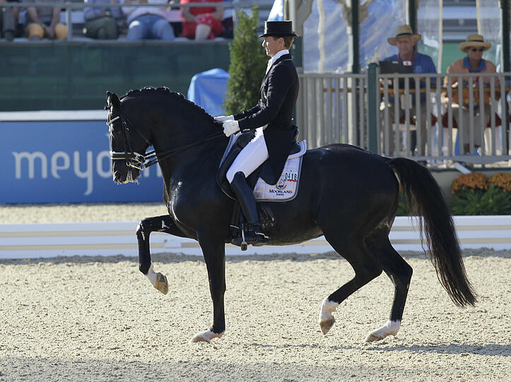 Totilas, der Wunderhengst, der mit Reiter Edward Gal WM-Gold holte, könnte in Riem starten.