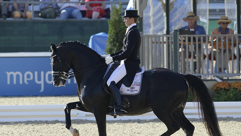 Totilas, der Wunderhengst, der mit Reiter Edward Gal WM-Gold holte, könnte in Riem starten. Totilas, der Wunderhengst, der mit Reiter Edward Gal WM-Gold holte, könnte in Riem starten.
