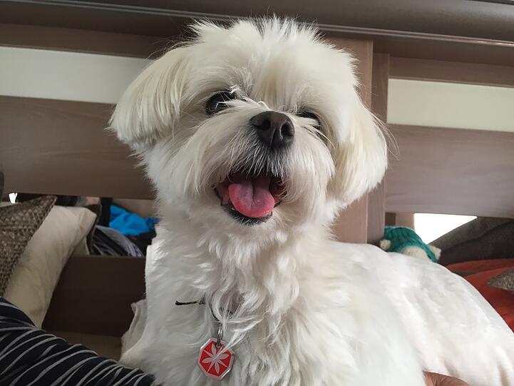 Mimi