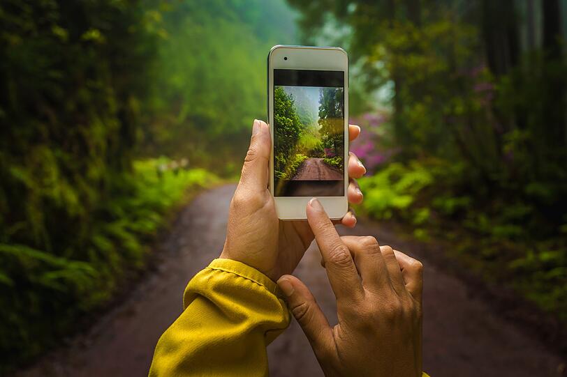 Auch wenn eine App zur Identifikation verschiedener Pflanzen sicherlich hilfreich wäre und die Gelegenheit, sich selbst beim Waldbaden in den sozialen Netzwerken zu posten, verlockend - bei dieser Gelegenheit bleibt das Smartphone aus oder gleich zu Haus. Auch wenn eine App zur Identifikation verschiedener Pflanzen sicherlich hilfreich wäre und die Gelegenheit, sich selbst beim Waldbaden in den sozialen Netzwerken zu posten, verlockend - bei dieser Gelegenheit bleibt das Smartphone aus oder gleich zu Haus.