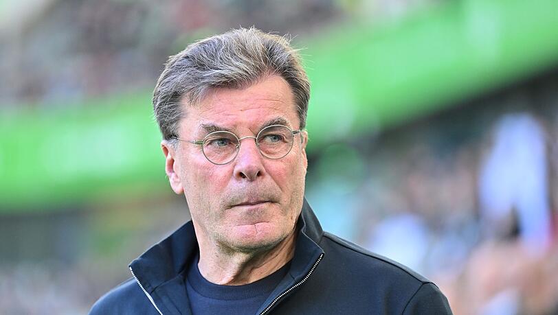 Wolfsburg-Trainer Dieter Hecking.