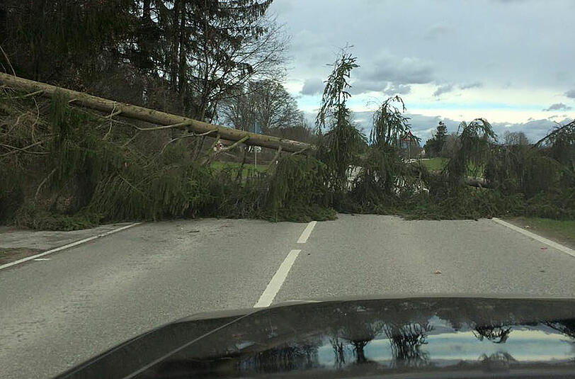 Ein Baum versperrt die Straße: Ein Leser schickt und dieses spektakuläre Foto, das er im Landkreis Starnberg aus seinem Auto heraus geschossen hat.