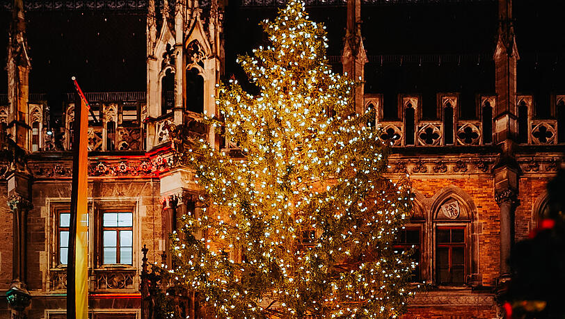 Seit Anfang November steht am Marienplatz die Fichte aus Ellmau. Seit Montagabend leuchtet sie mit 3975 Kerzen und 265 Lichterketten, bis einschließlich 6. Januar 2026. Seit Anfang November steht am Marienplatz die Fichte aus Ellmau. Seit Montagabend leuchtet sie mit 3975 Kerzen und 265 Lichterketten, bis einschließlich 6. Januar 2026.