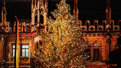 Seit Anfang November steht am Marienplatz die Fichte aus Ellmau. Seit Montagabend leuchtet sie mit 3975 Kerzen und 265 Lichterketten, bis einschließlich 6. Januar 2026. Seit Anfang November steht am Marienplatz die Fichte aus Ellmau. Seit Montagabend leuchtet sie mit 3975 Kerzen und 265 Lichterketten, bis einschließlich 6. Januar 2026.