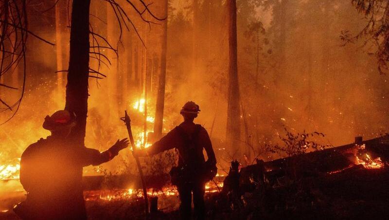 In ganz Kalifornien waren laut Feuerwehr zuletzt mehr als 14.800 Einsatzkräfte damit beschäftigt, 23 größere Brände einzudämmen.
