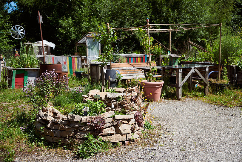 ... beim Gemeinschaftsgartenprojekt "rosen_heim".