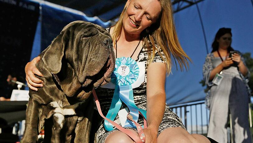 Besitzerin Shirley Zindler aus Sebastopol, Kalifornien, ist stolz. Besitzerin Shirley Zindler aus Sebastopol, Kalifornien, ist stolz.