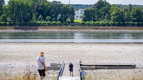 Niedrigwasser im Rhein in Bonn. Die Gr&uuml;nen fordern "intakte Fl&uuml;sse als Priorit&auml;t".