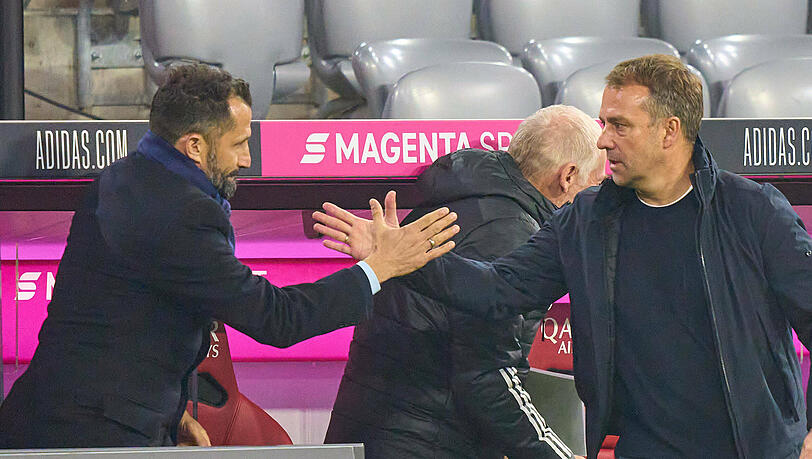Klatschten sich beim Spiel gegen Leverkusen ab: Hasan Salihamidzic und Hansi Flick. Klatschten sich beim Spiel gegen Leverkusen ab: Hasan Salihamidzic und Hansi Flick.