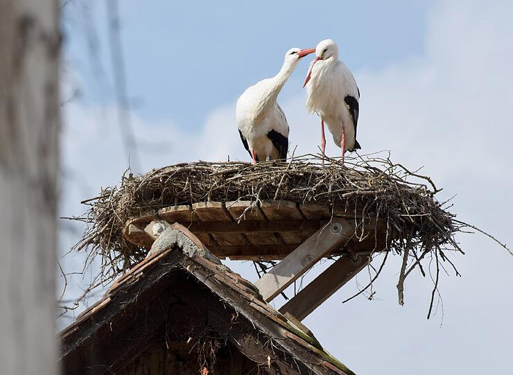 Frühlingserwachen in München - schon jetzt freuen sich viele auf's warme Wochenende und den Biergarten. Sehen Sie hier die ersten Frühlingsbilderbilder aus der Weltstadt mit Herz...