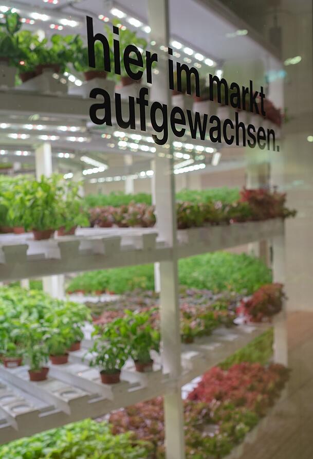 Die Beete sind für Kunden nicht zugänglich.