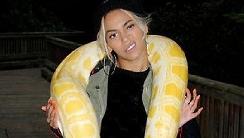 Beyoncé mit Plüsch-Würgeschlange beim Ausflug in den Tierpark Beyoncé mit Plüsch-Würgeschlange beim Ausflug in den Tierpark